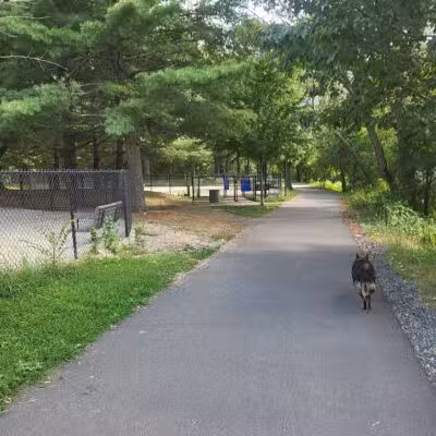 Medford Dog Park - Medford, MA