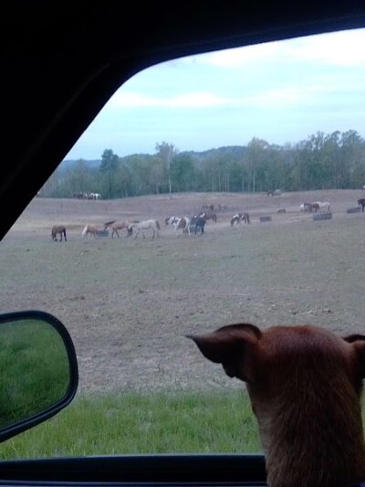 Sparksville Park of Jackson County - Medora, IN