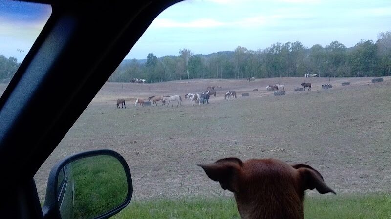 Sparksville Park of Jackson County - Medora, IN