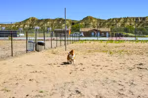 Ruff Riders Dog Park - Medora, ND