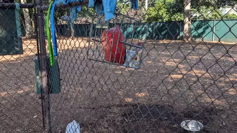 Medway Dog Park - Medway, MA