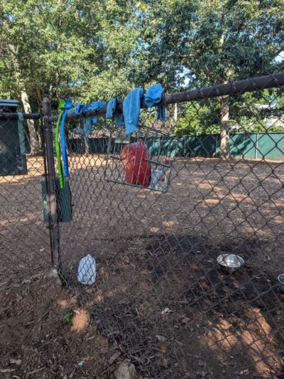 Medway Dog Park - Medway, MA