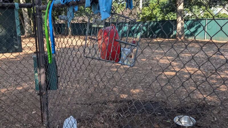 Medway Dog Park - Medway, MA