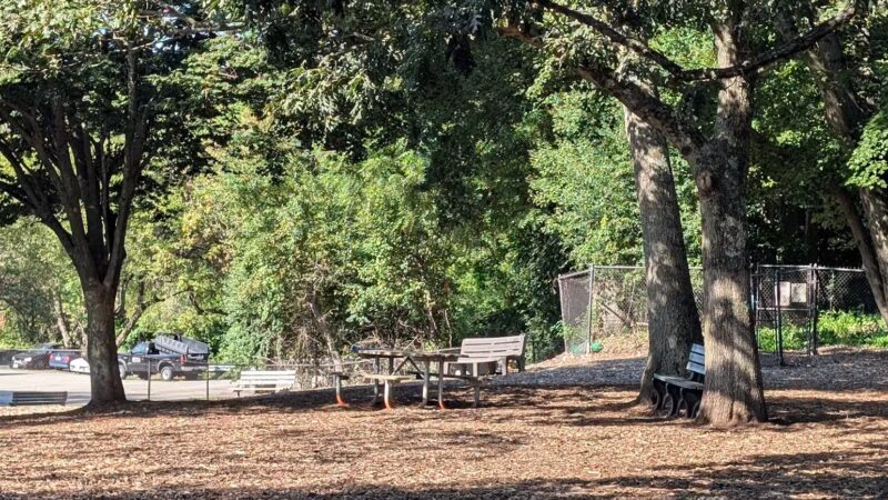 Medway Dog Park - Medway, MA