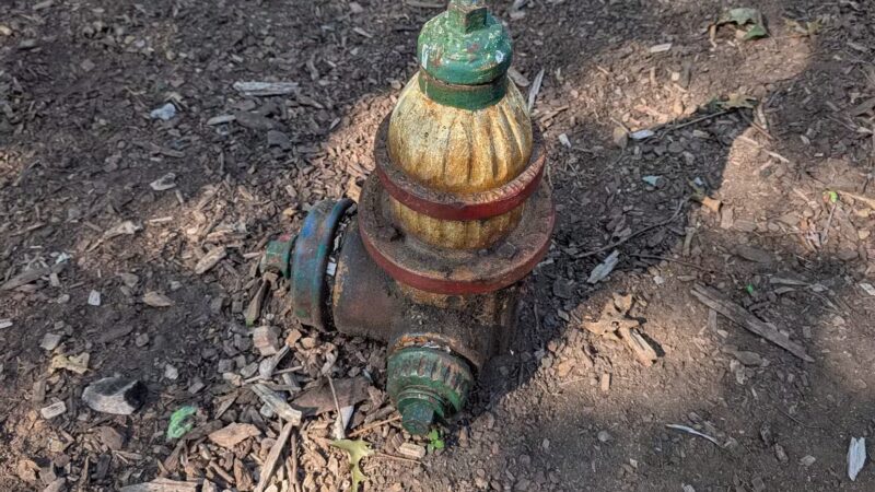 Medway Dog Park - Medway, MA