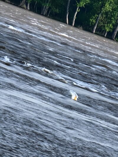 Lake Showme Park - Memphis, MO