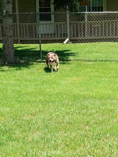 Old school park - Memphis,