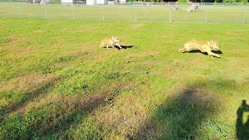City Of Mendota Heights Off-leash Dog Area - Mendota Heights, MN