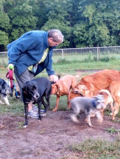 City Of Mendota Heights Off-leash Dog Area - Mendota Heights, MN