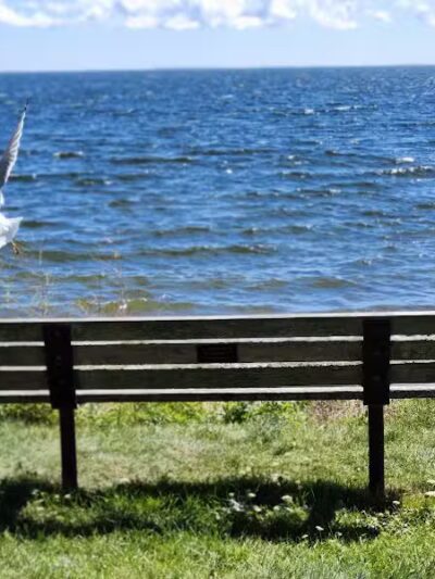 John Henes Park - Menominee,