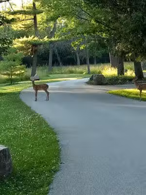 John Henes Park - Menominee,