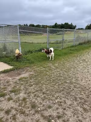 Menomonie Off-Leash Dog Park - Menomonie, WI