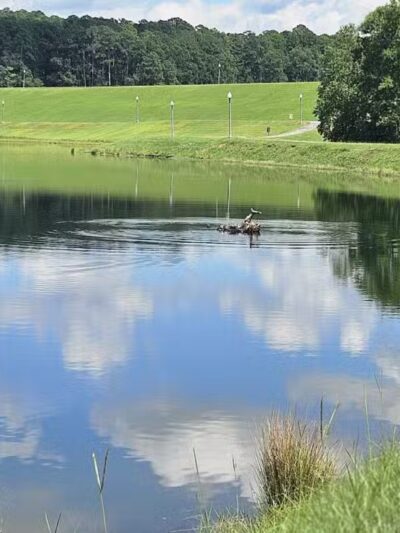Bonita Lakes Park - Meridian, MS