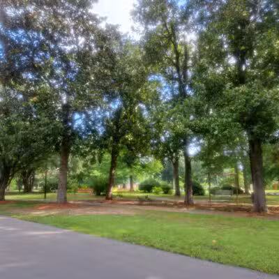 Highland Park - Meridian, MS