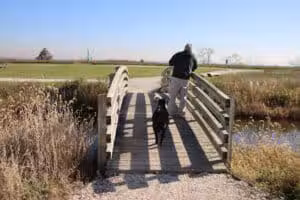 Norman J. Levy Park & Preserve - Merrick, NY