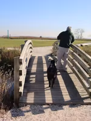Norman J. Levy Park & Preserve - Merrick, NY