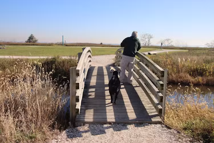 Norman J. Levy Park & Preserve - Merrick, NY