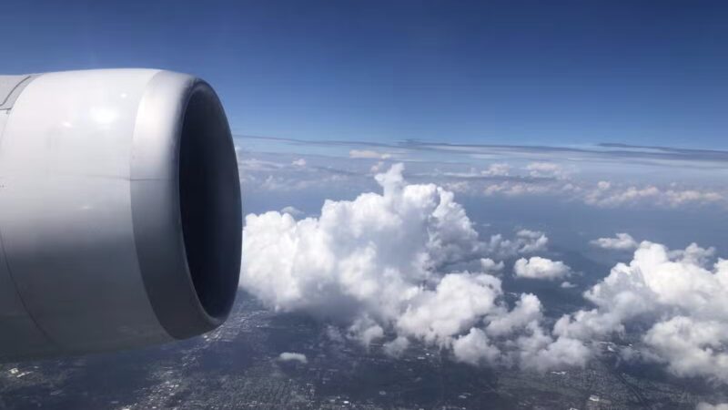 Norman J. Levy Park & Preserve - Merrick, NY