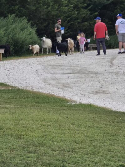 Norman J. Levy Park & Preserve - Merrick, NY