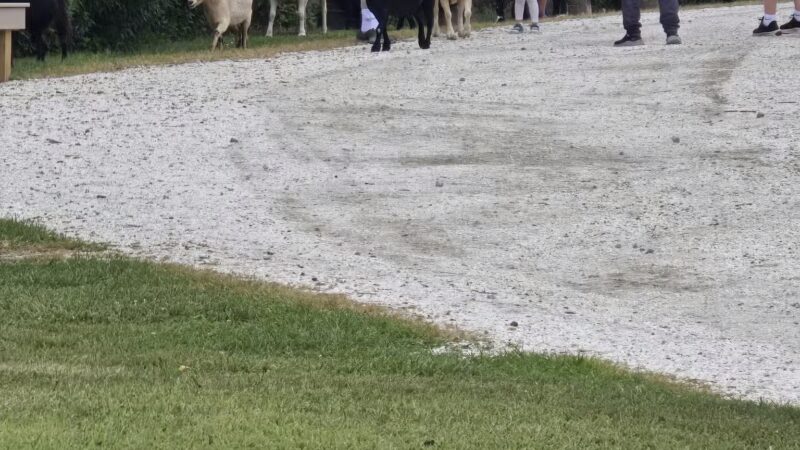 Norman J. Levy Park & Preserve - Merrick, NY