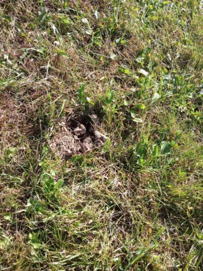 Merrill Dog Park - Merrill,