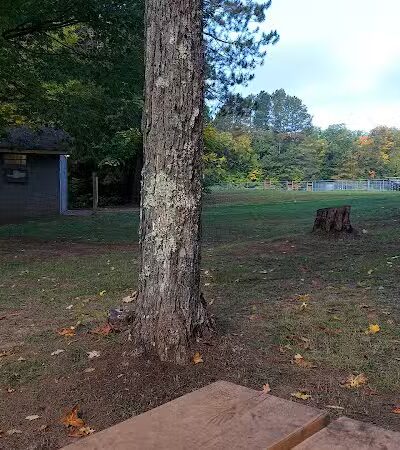 Bergland Township Park - Merriweather,