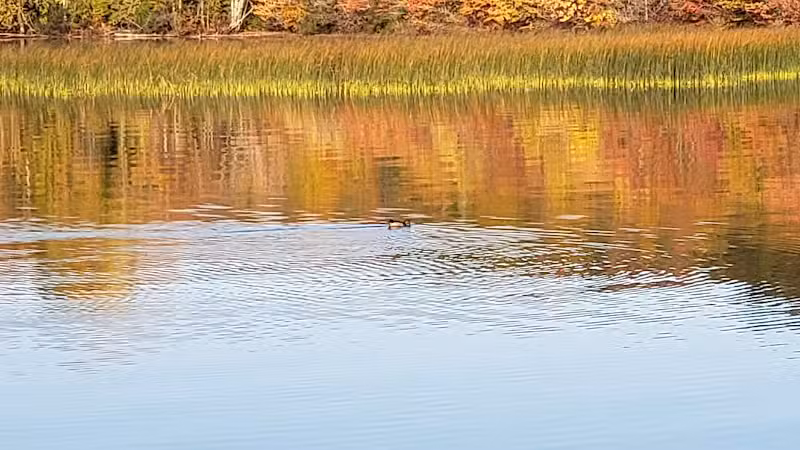 Bergland Township Park - Merriweather,