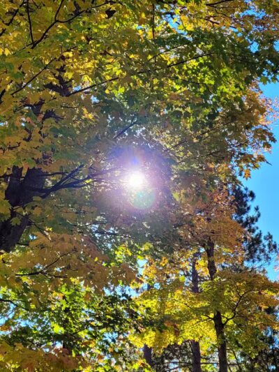 Bergland Township Park - Merriweather,