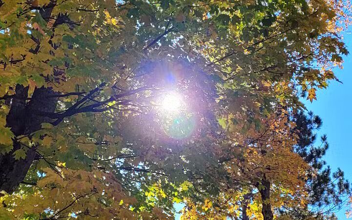 Bergland Township Park - Merriweather,