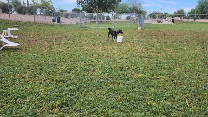 Countryside Dog Park - Mesa, AZ