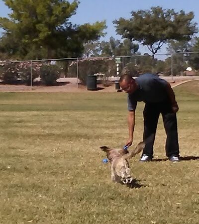 Countryside Dog Park - Mesa, AZ
