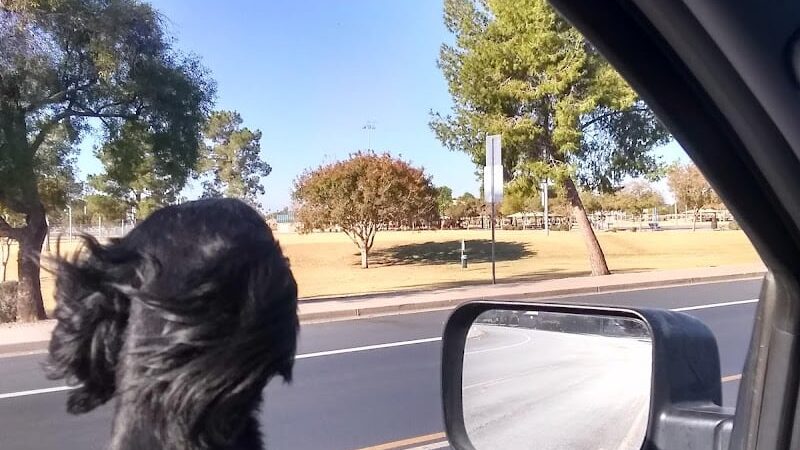 Countryside Dog Park - Mesa, AZ