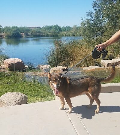 Countryside Dog Park - Mesa, AZ