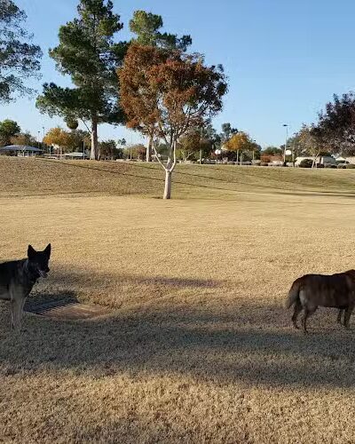 Countryside Dog Park - Mesa, AZ