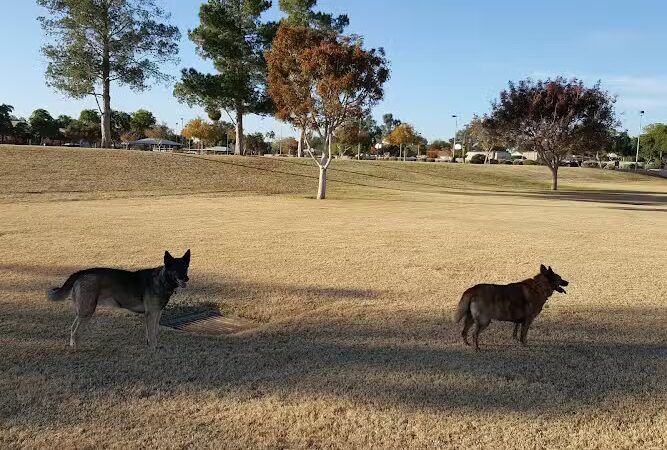 Countryside Dog Park - Mesa, AZ