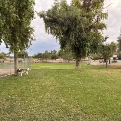 Countryside Dog Park - Mesa, AZ