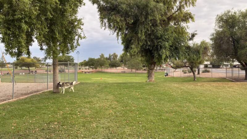 Countryside Dog Park - Mesa, AZ