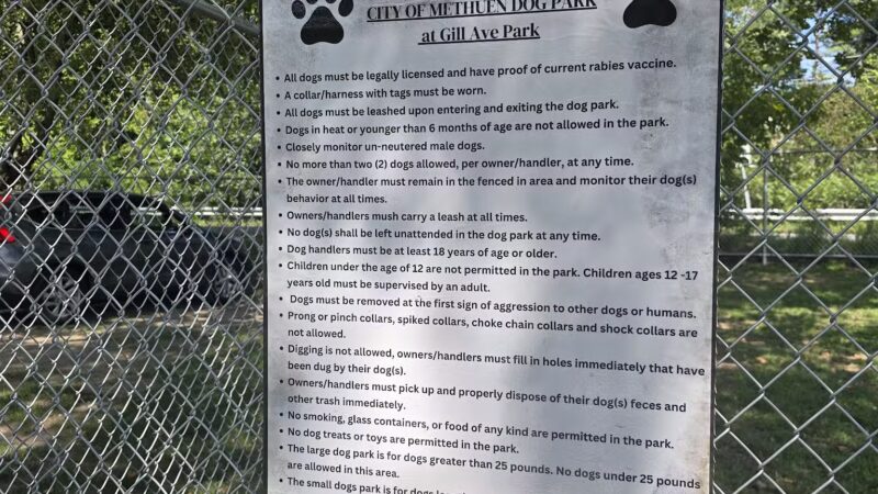 Gill Ave Dog Park - Methuen, MA