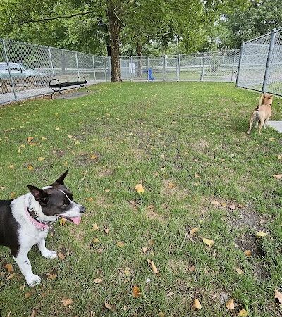 Gill Ave Dog Park - Methuen, MA
