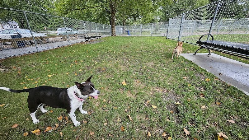 Gill Ave Dog Park - Methuen, MA