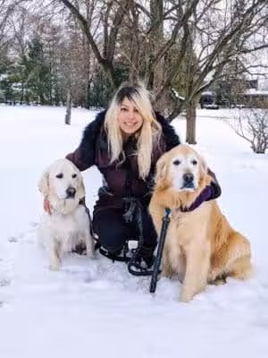 Bloomfield Pet Care - ,