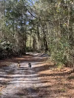 Foxmeadow Recreational Park - Middleburg, FL