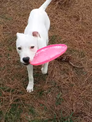 Omega Park - Middleburg, FL