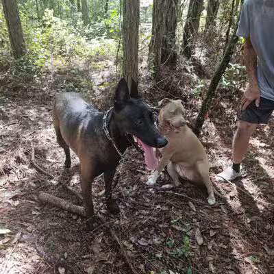 Foxmeadow Recreational Park - Middleburg, FL