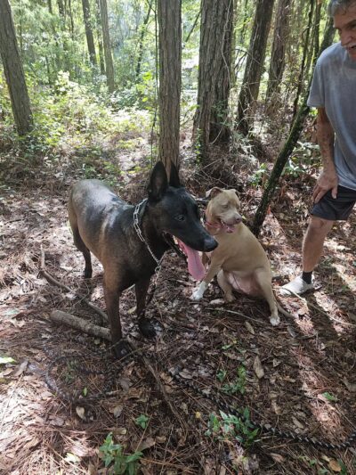 Foxmeadow Recreational Park - Middleburg, FL