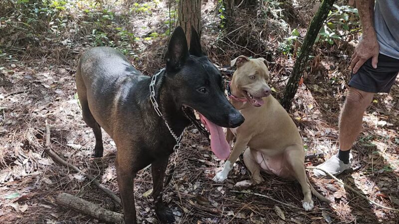 Foxmeadow Recreational Park - Middleburg, FL