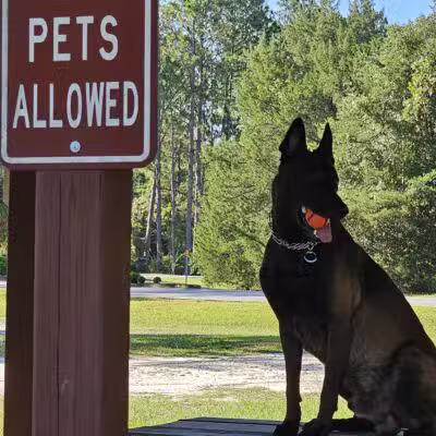 Foxmeadow Recreational Park - Middleburg, FL