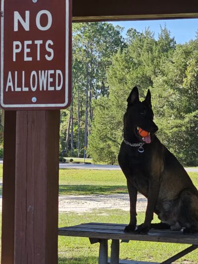 Foxmeadow Recreational Park - Middleburg, FL