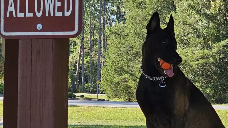 Foxmeadow Recreational Park - Middleburg, FL
