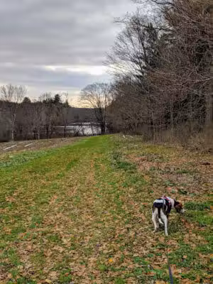 John Largay Preserve, Middlebury Land Trust - Middlebury, CT
